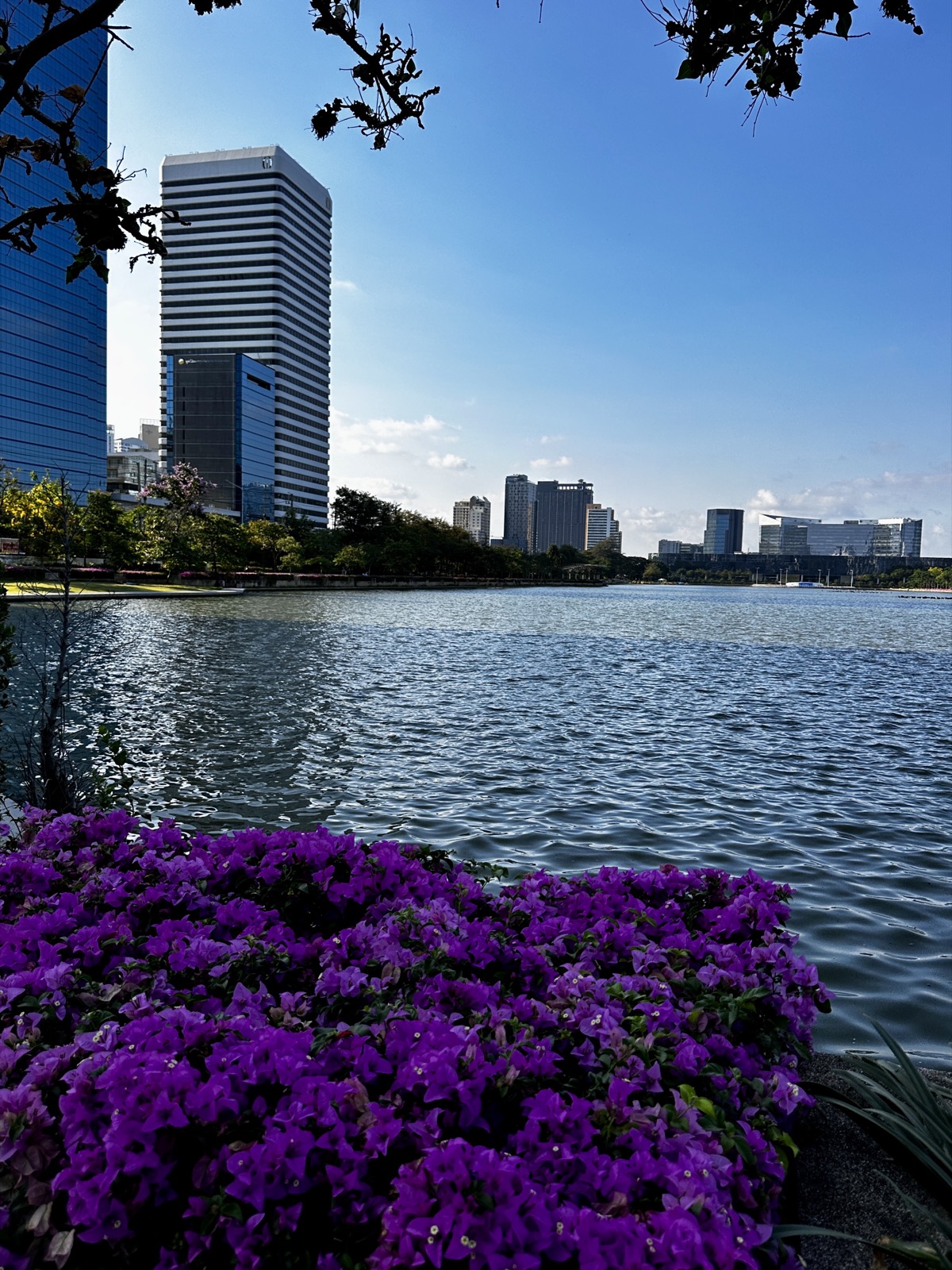 Bangkok skyline